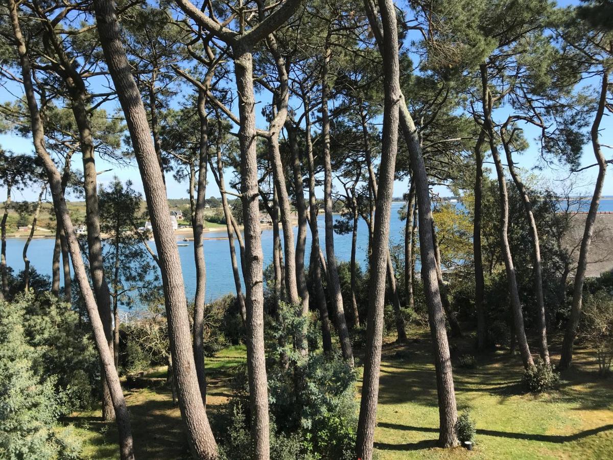 La Villa Bel Ange Hotel Saint-Philibert  Eksteriør billede
